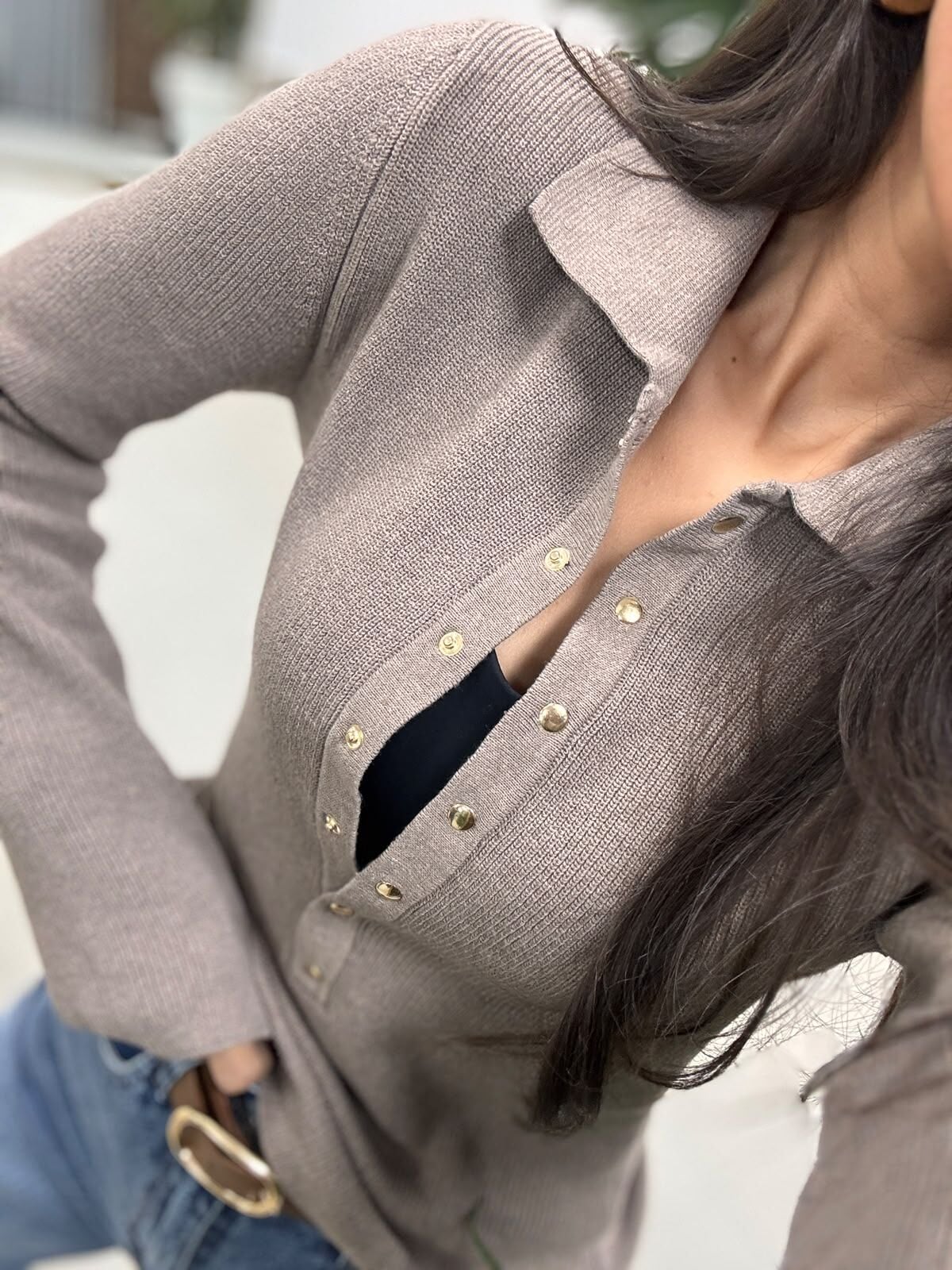 Po 2631 Vizon Polo Yakalı Çıtçıt Detaylı Triko