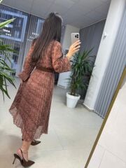 Mein 3286 Polka Dot Brick Chiffon-Kleid