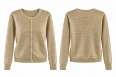 Po 2844 Transparan Gold Simli Hırka